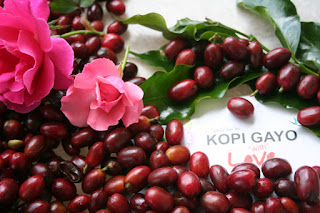 kopi-gayo,www.healthnote25.com