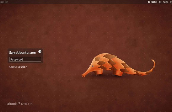 Ubuntu Precise pangolin 12.04 login