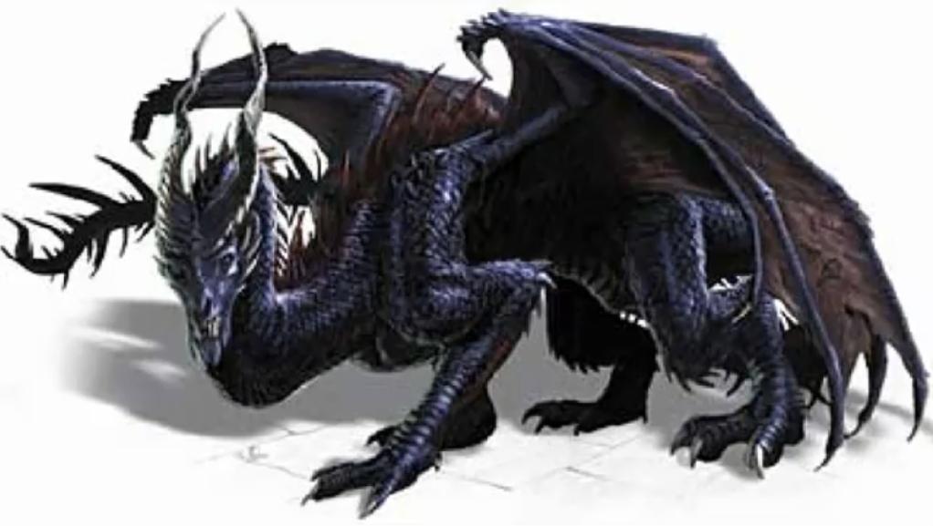 Черные драконы 1 поколение. Black Dragon Forgotten Realms. Рост и вес дракона. Черные драконы 1 поколение состав. Dragon noir