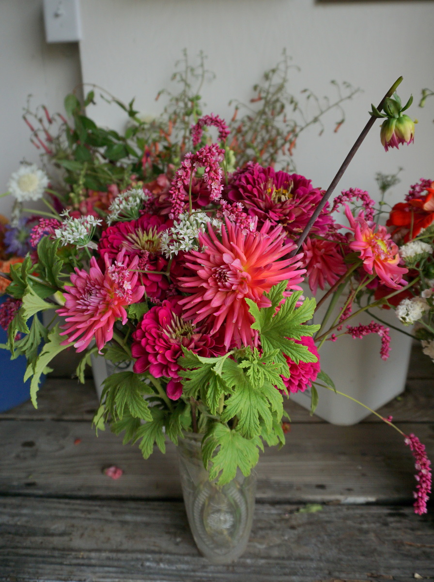 Shady Maple Farm Csa 09 05 17