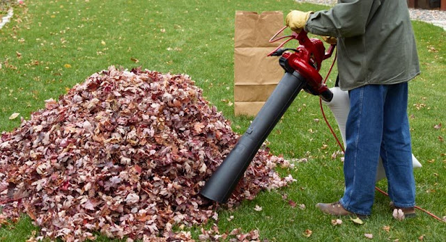 How to Choose the best Leaf Blower 2018