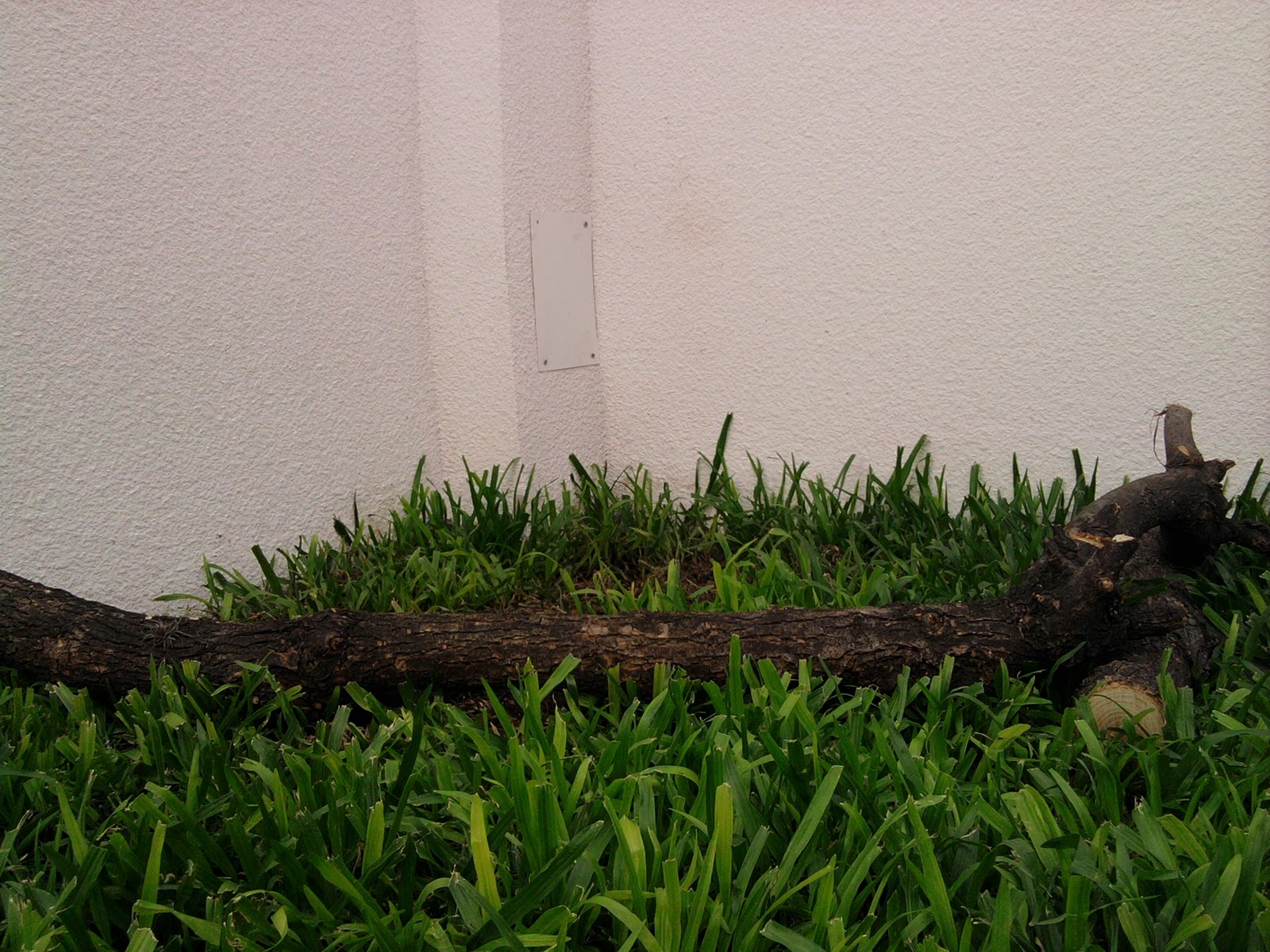 Técnico en Jardinería: Diseño en Jardín.