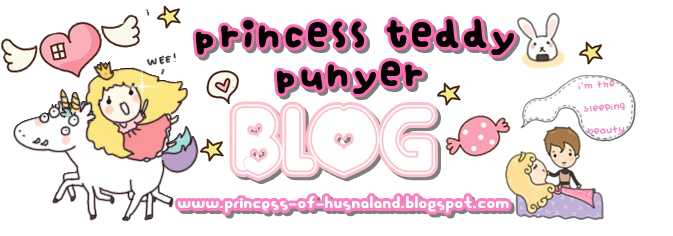 Princess Teddy Punyer Blog