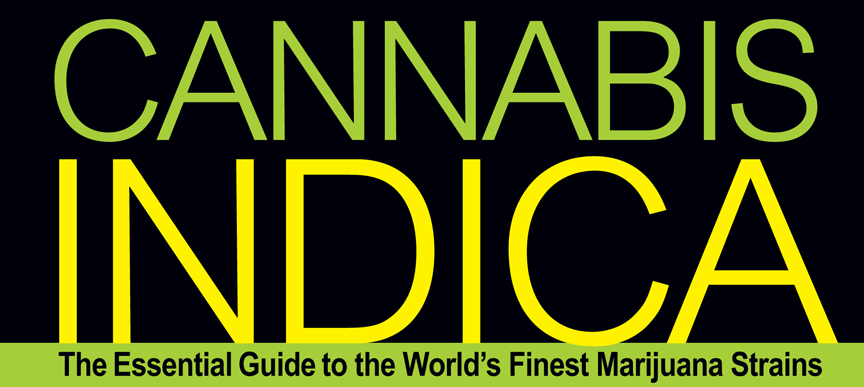Cannabis Indica: The Essential Guide