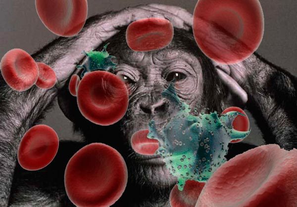 COMO E POR QUE O VÍRUS DA AIDS SE ESPALHOU PELO MUNDO?