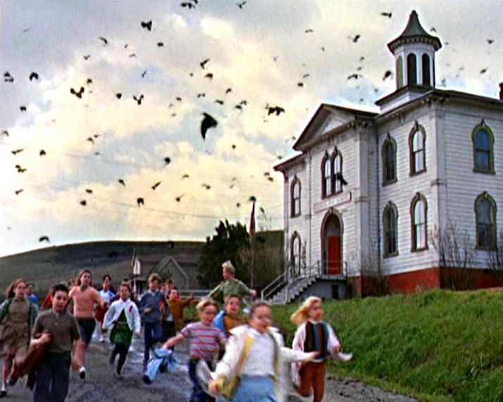 "The Birds" and Bodega... HAERR TRIPPIN'