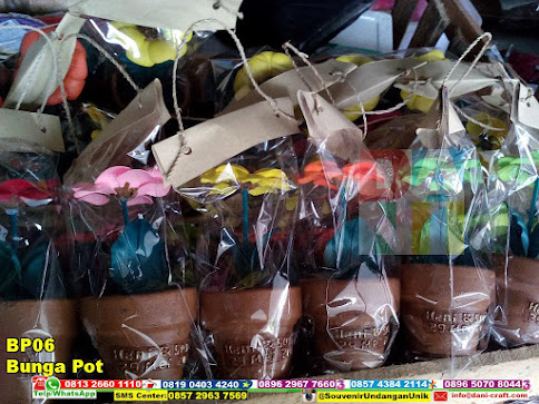 jual Bunga Pot
