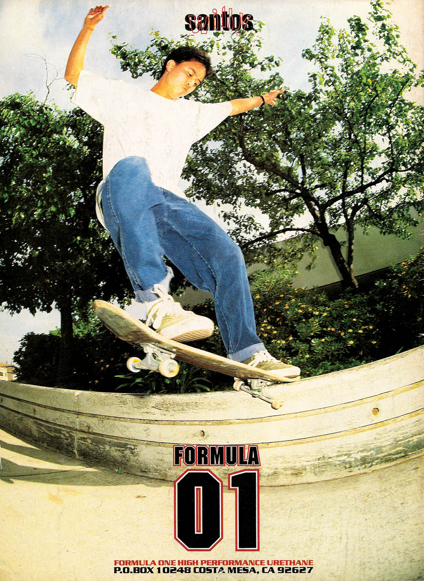 Birdhouse Skateboards Willy Santos