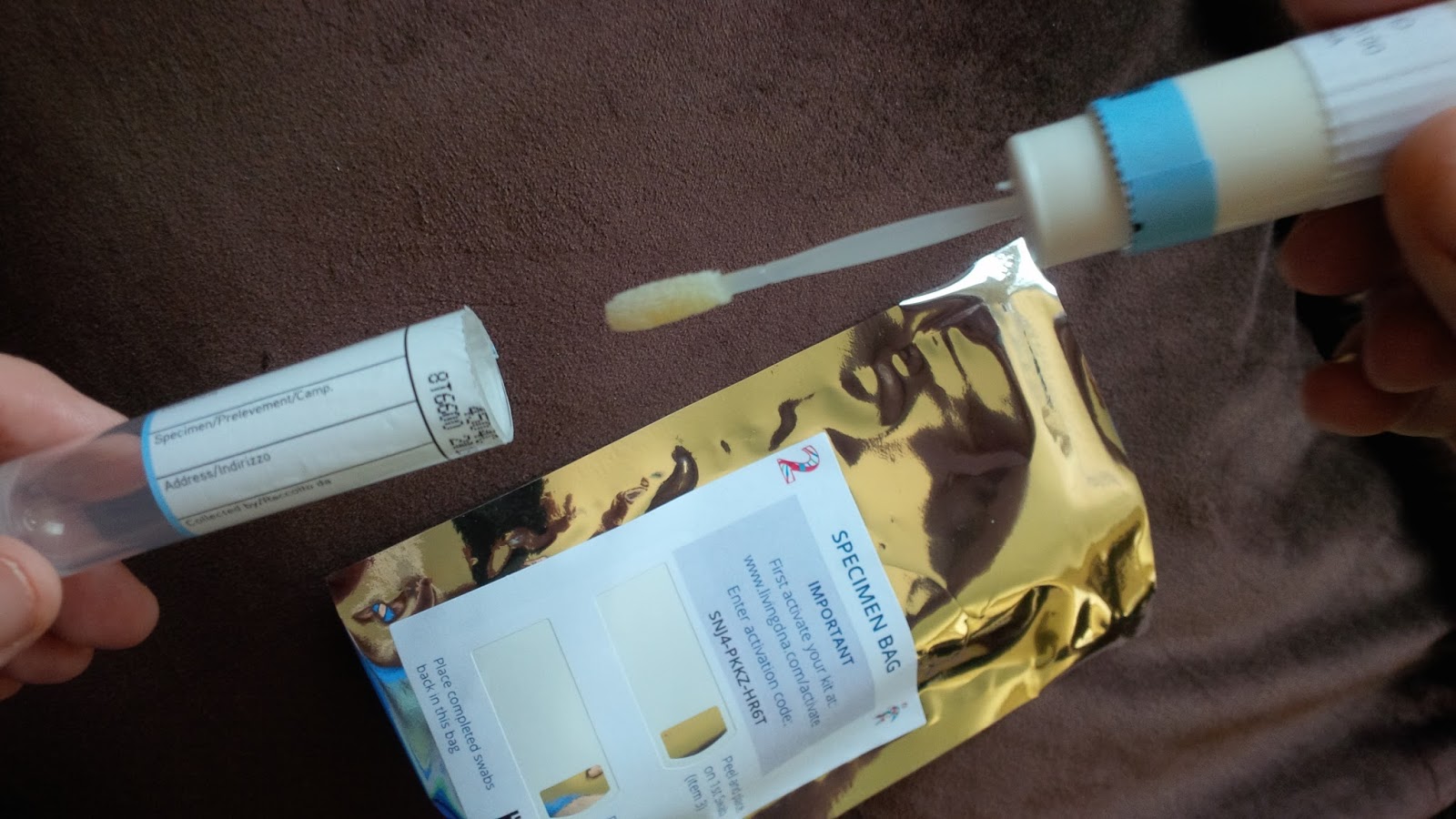 Your Genealogist The New Living DNA Test A Review of My Results