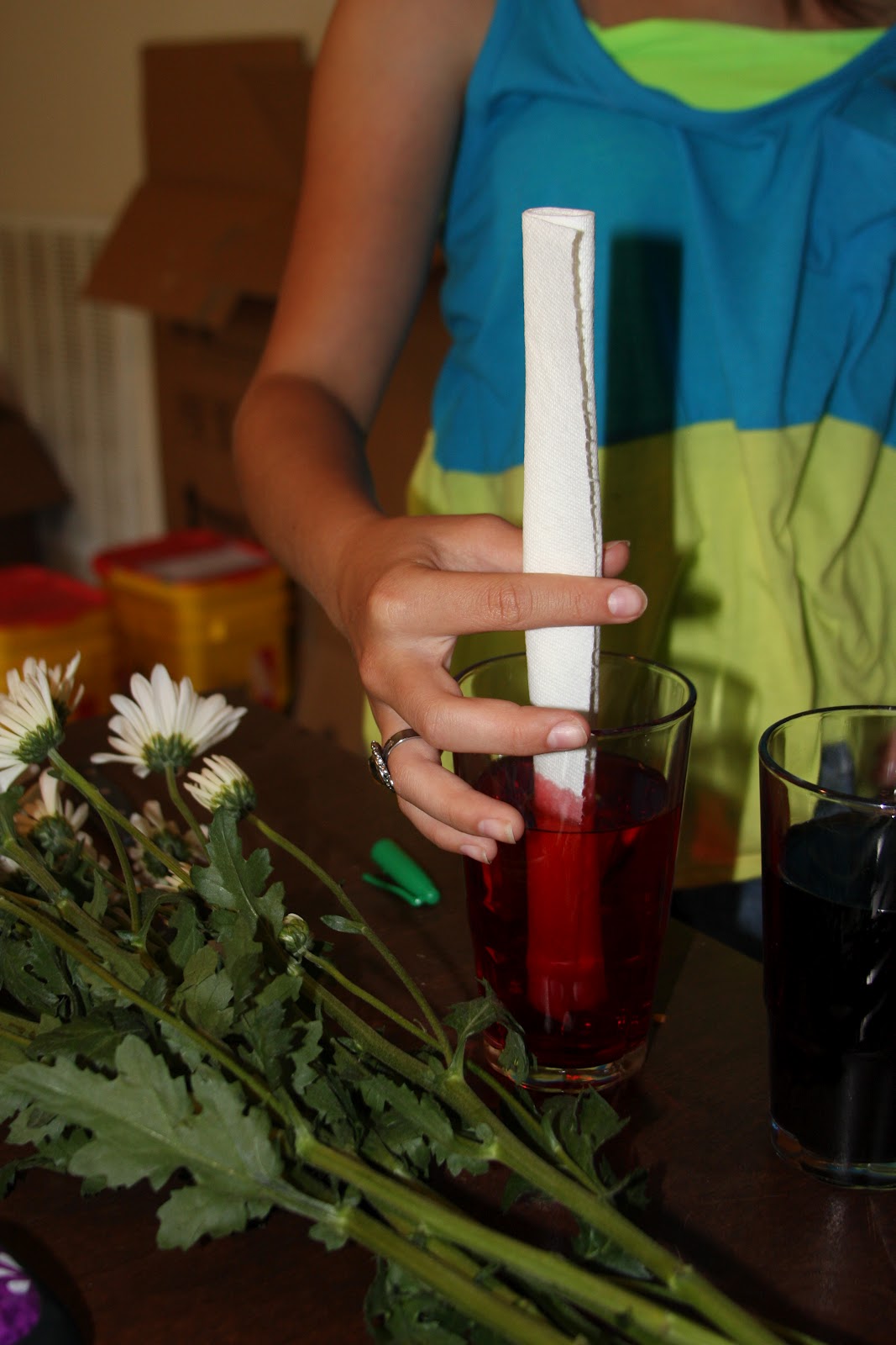 Purpose for my blogs Science project 1