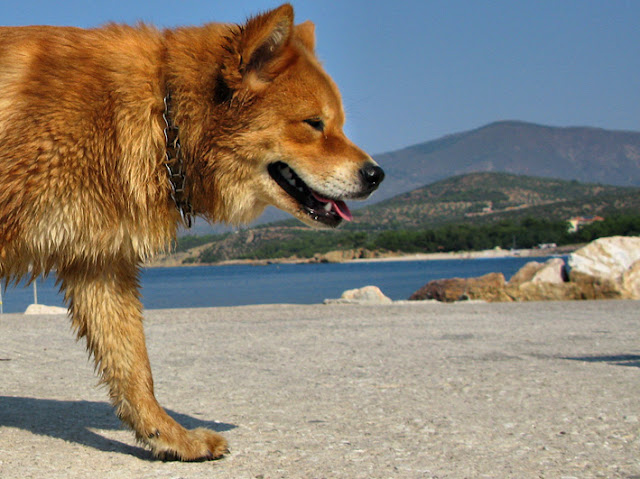 Photographis: Argos, Love and The Theory of Waiting