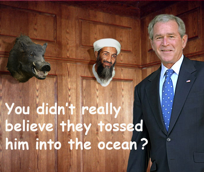 The Feral Irishman Like a Boss..............