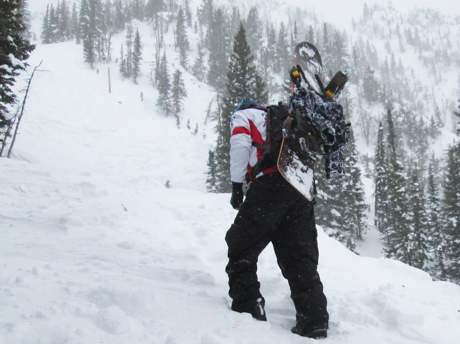 MJ HALL / MOUNTAIN BIKE / MOTORCYCLE / SNOWBOARD / SNOWMOBILE / FOUR