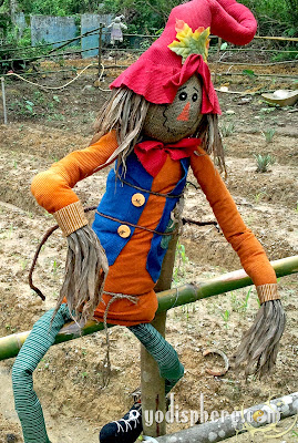 Smiling colorful scarecrow sitting on fence