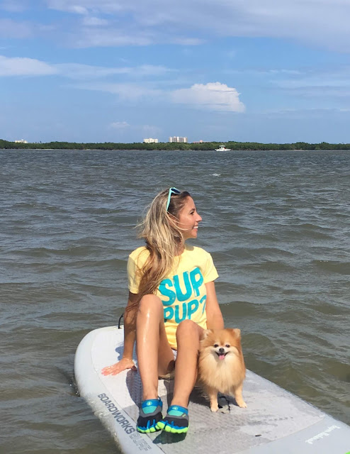 sup, paddle board, stand up paddle, salty dog, injured dogs, charity, florida, pomeranian, native sunglasses, body glove, water shoes, water sports, safety, marine life, fun in the sun, @foxyandpaige, shoes, water, swimwear, dog, dogs, pup, animal rescue, inspiration, bikini life, water drainage, nonprofit, 