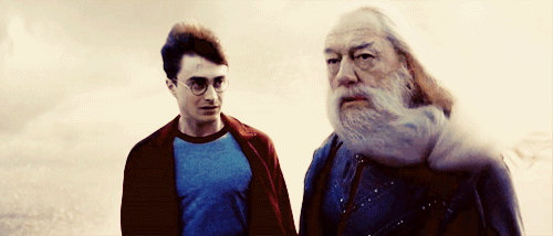 harrydumbledore.gif