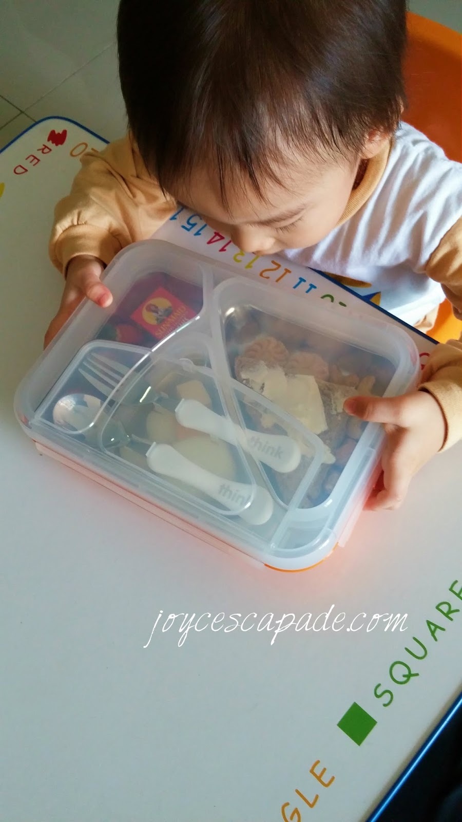 Thinksport GO2 Travel Container: A safer & highly functional lunch box -  Joy 'N' Escapade