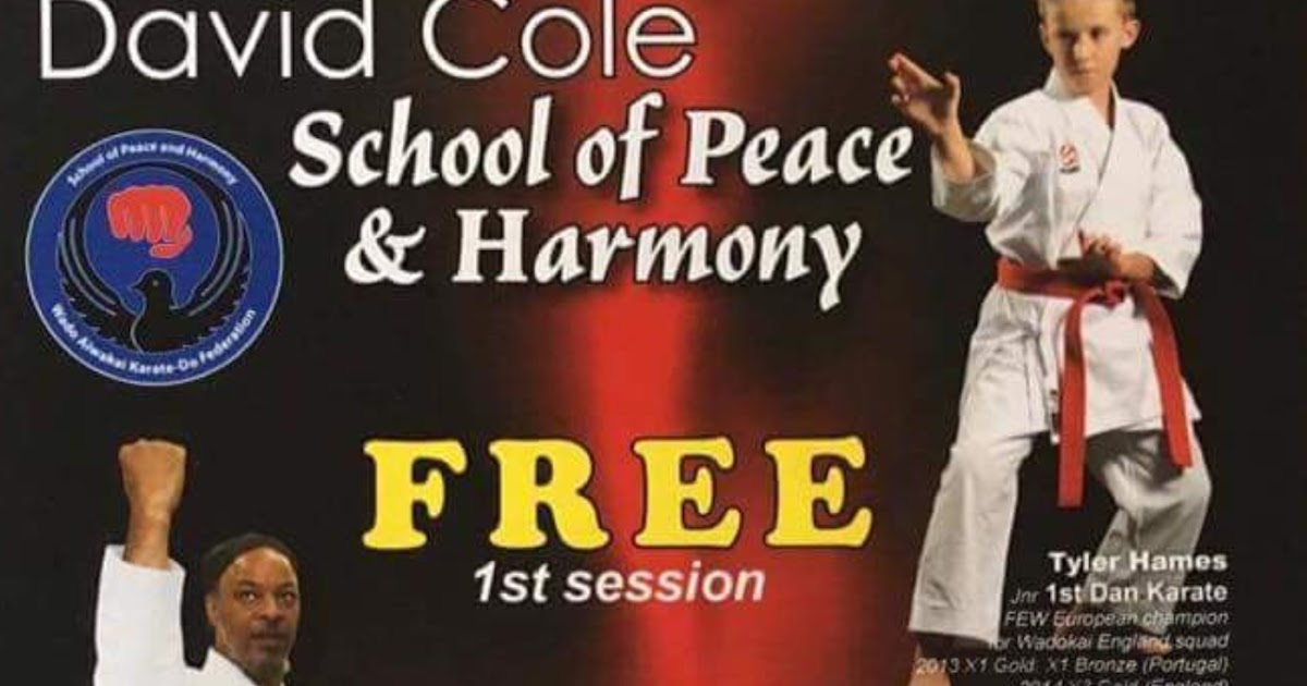 Leicester Martial Arts The best and worst schools Update 2017