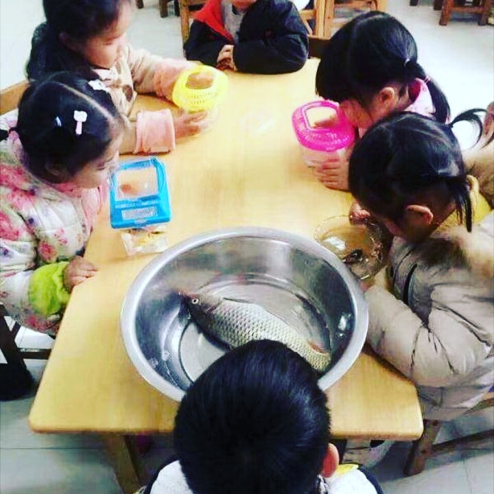 Lihatlah Bagaimana Anak-Anak Menafsirkan Arahan Guru