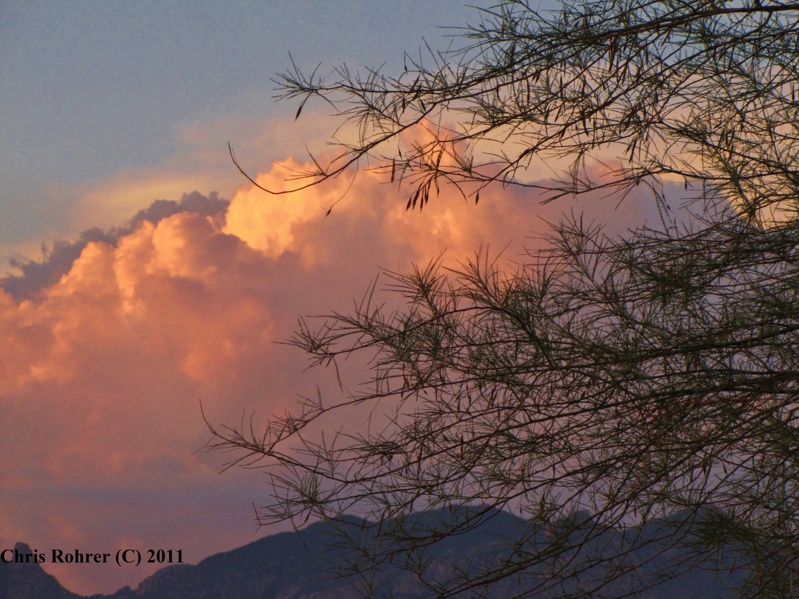 Las Aventuras Desert Twilight