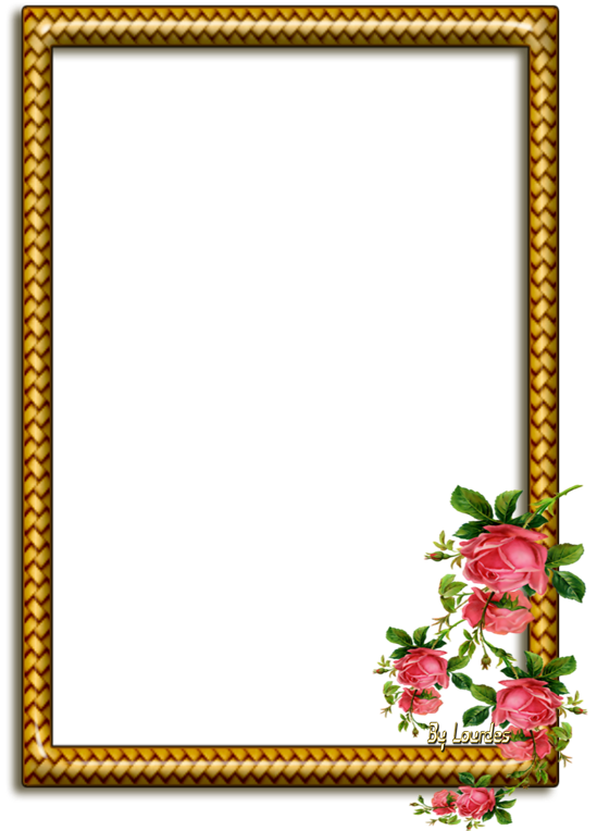 ls20.png