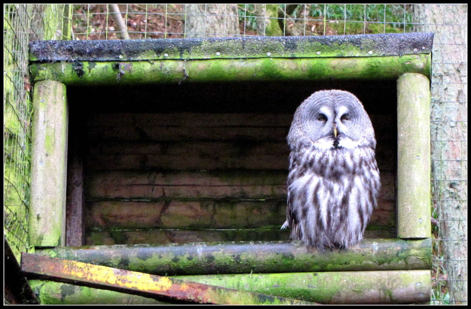 The Glebe Blog Galloway Wildlife Conservation Park April 2012