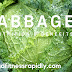 Cabbage nutrition and cabbage benefits  