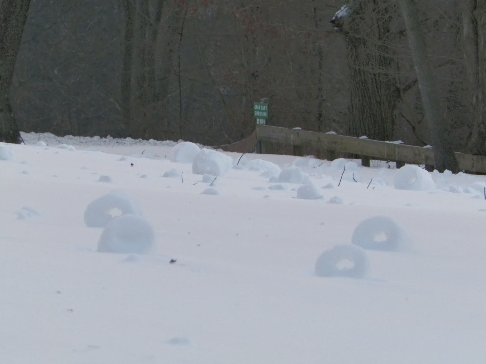 Sarge Speaks Out: Wacky Winter Wednesday