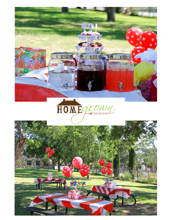 Homegrown Photography Carousels & Cupcakes Brenham, TX Birthday
