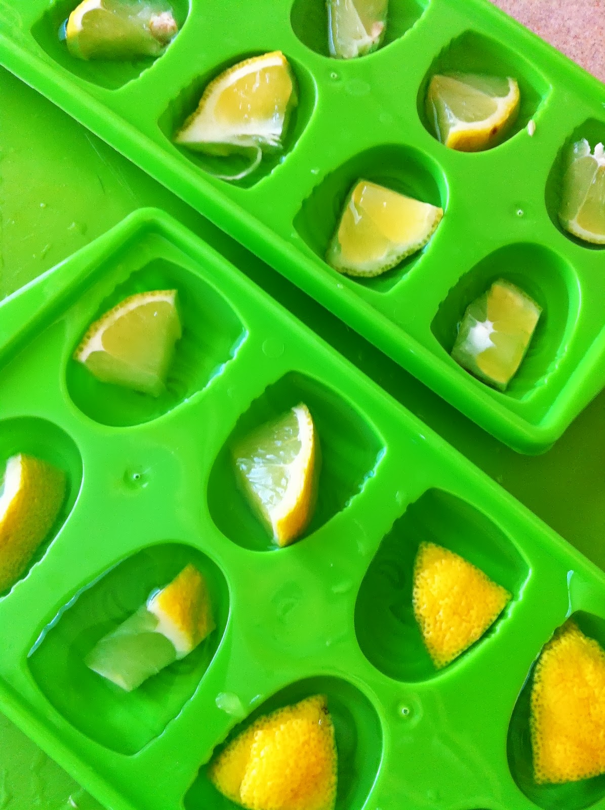 our carlson life diy thursday homemade garbage disposal freshener