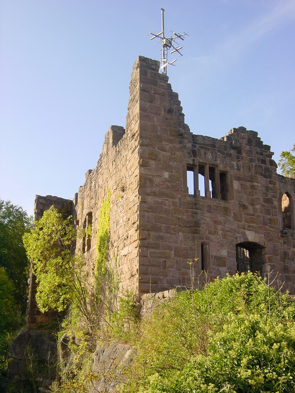 Nopegida Ralf Ozkara