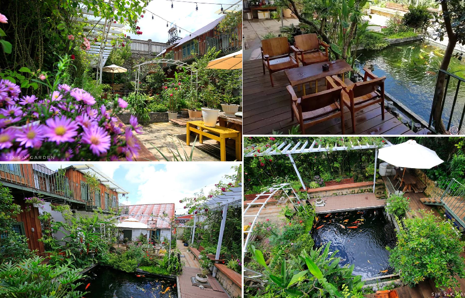Six Six Garden - Rose Koi Homestay “CÁ KOI” xanh mát ở Đà Lạt