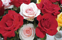 Bankberg rose