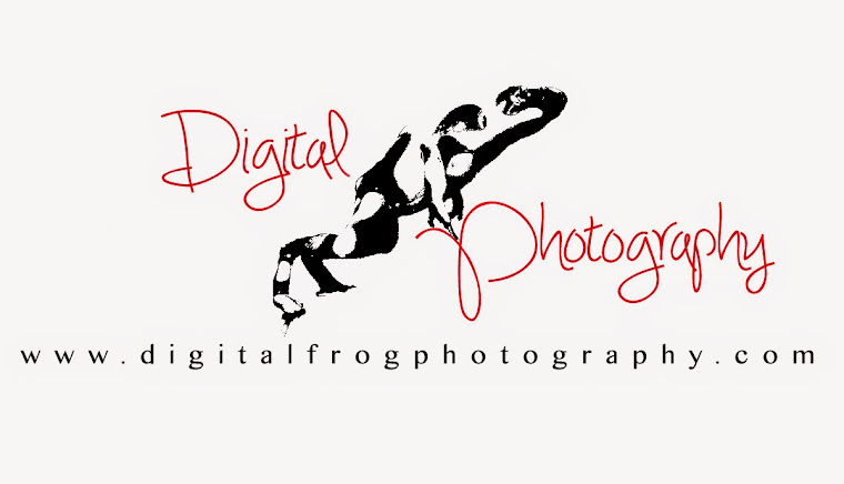 Digital Frog Photography