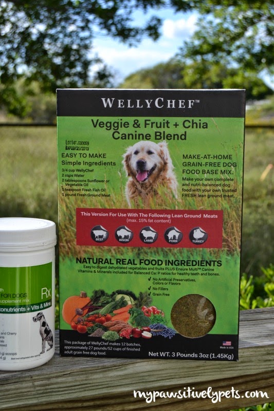 How a Fish Oil Supplement Helped My Dog's Skin and Coat WellyTails