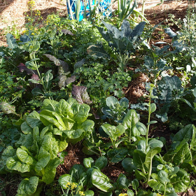 eight acres: organic gardening - don't just replace chemicals with organic inputs, let nature do the work!