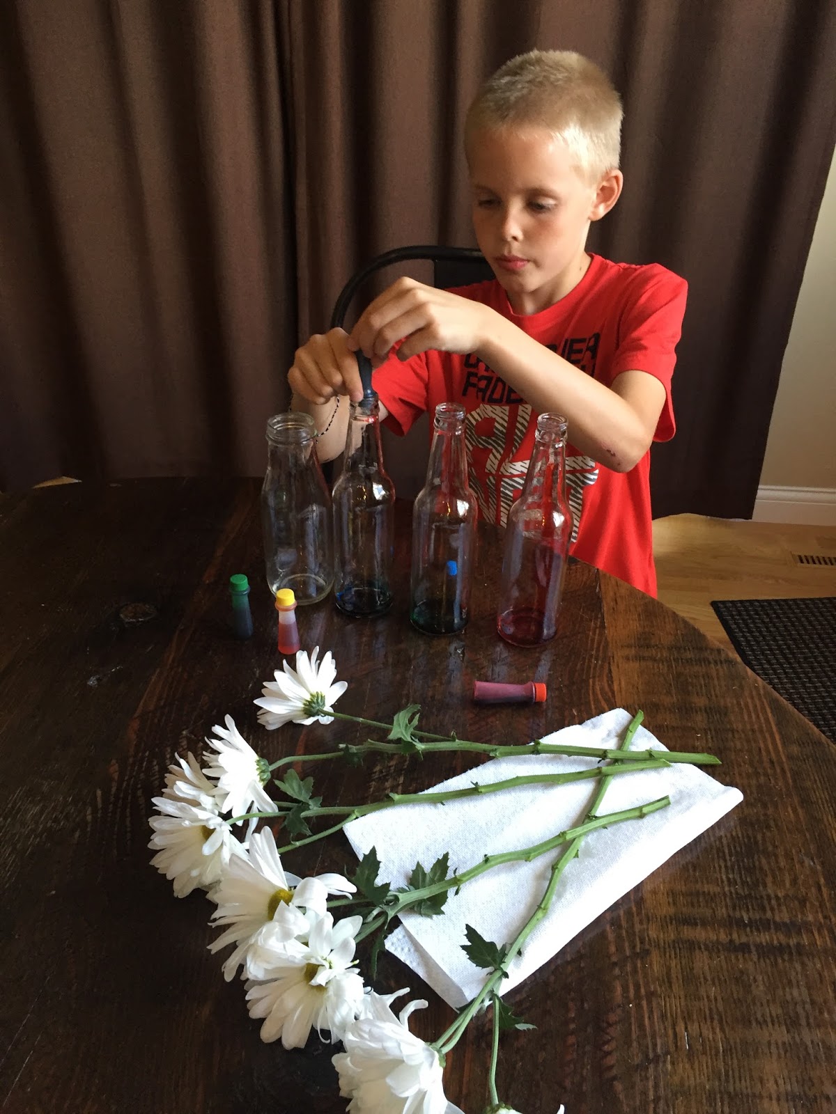 Relentlessly Fun, Deceptively Educational How Plants Absorb Water (experiment)