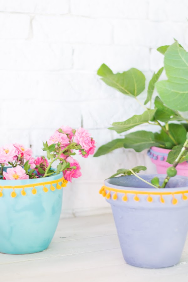 Maceteros con color 