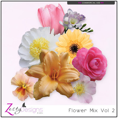 http://www.digitalscrapbookingstudio.com/commercial-use/elements/cu-flower-mix-vol-2/