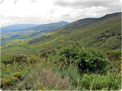 Marichiva por Collado del Rey - Alfonsoyamigos