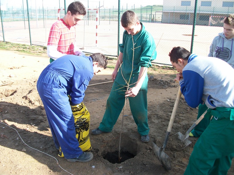 PCPI: ACTIVIDADES AUXILIARES EN VIVEROS, JARDINES Y PARQUES: MÓDULO 3