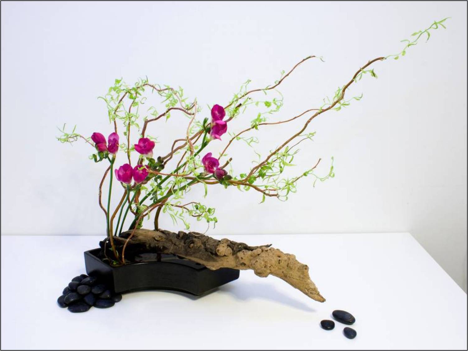 El baúl de Minerva Ikebana