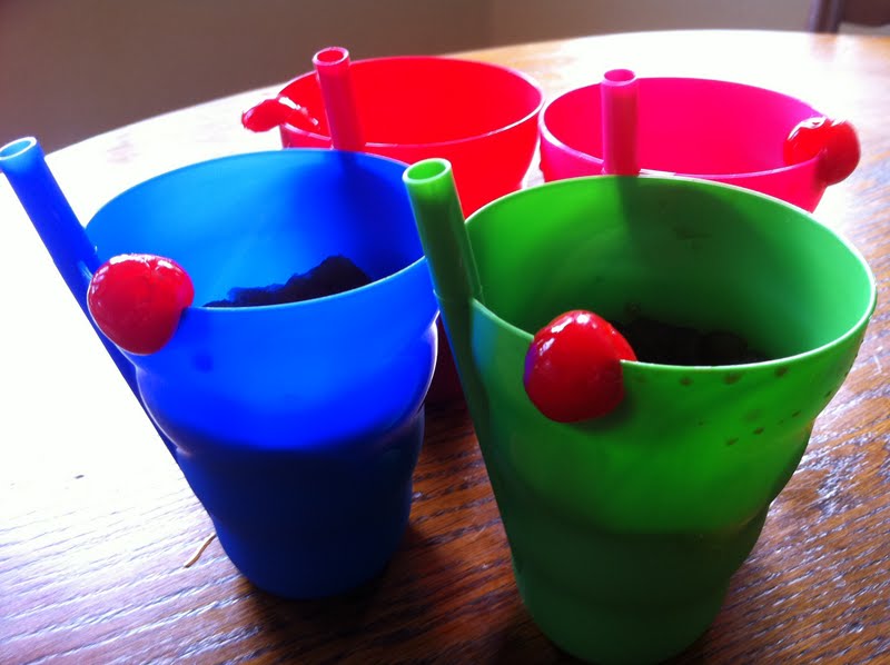 The Created Home: Homemade Coke Icee