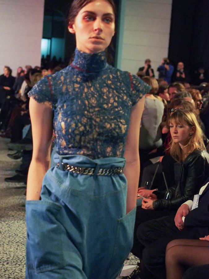 Sterbende Schwane Und Andere Vogel 2011