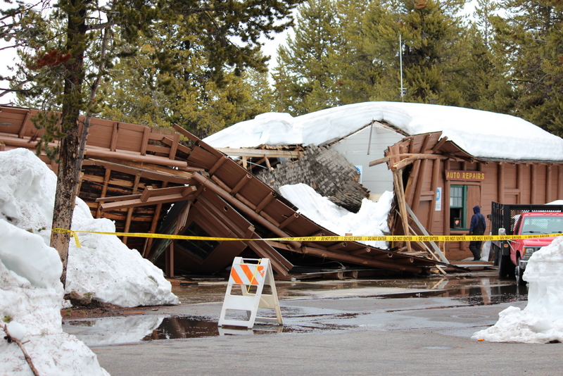 One Year in Yellowstone The Best of Yellowstone Photos