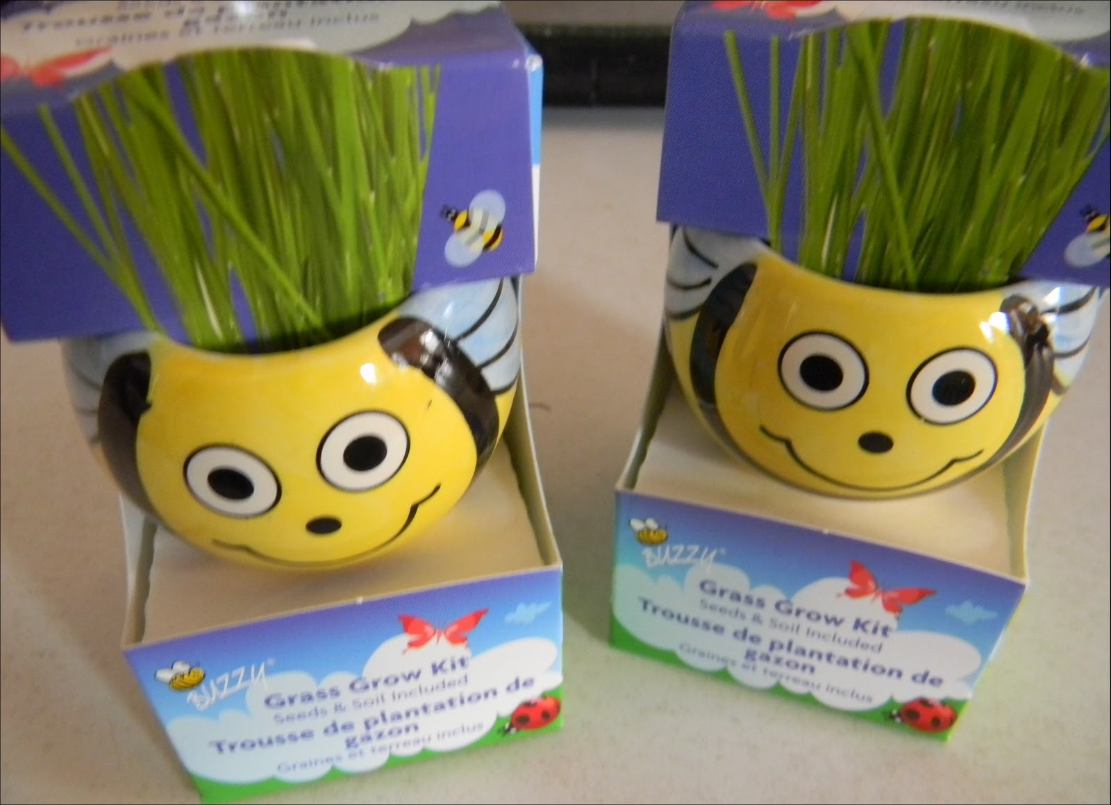 A Musing Potpourri Courting Spring Buzzy Grass Grow Kit