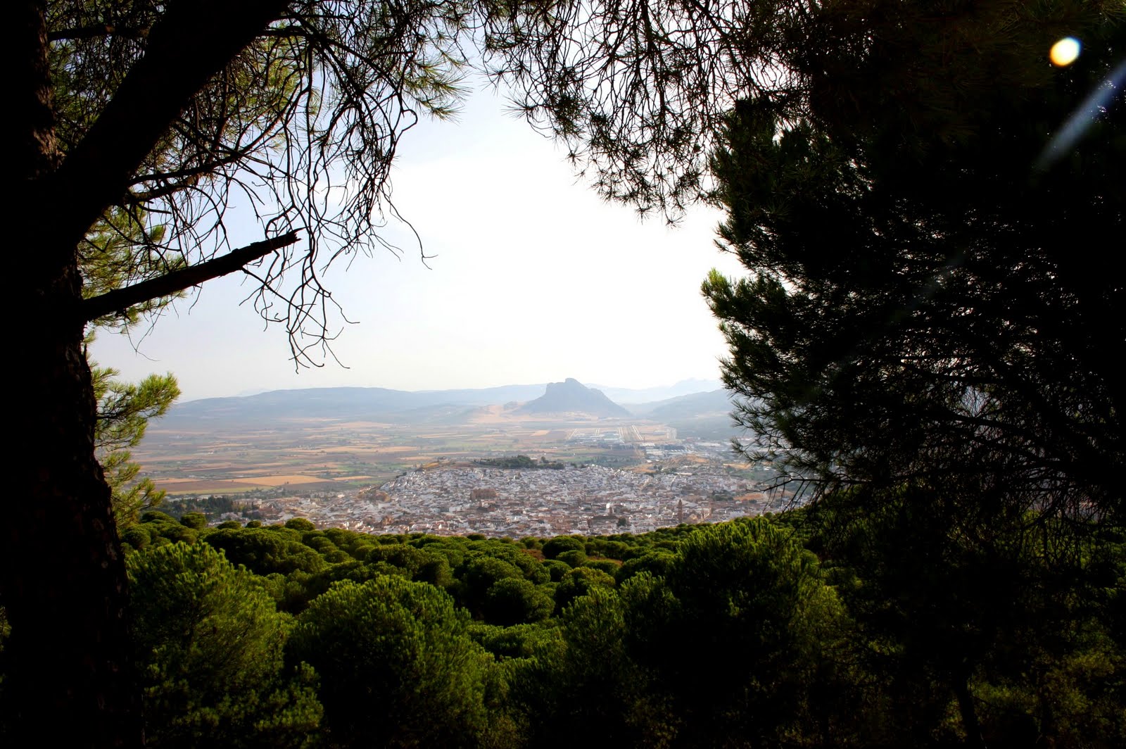 El Color Azul del Cielo EN / 11 PINAR DEL HACHO El mirador de Antequera