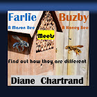 Farlie A Mason Bee Meets Buzby A Honey Bee