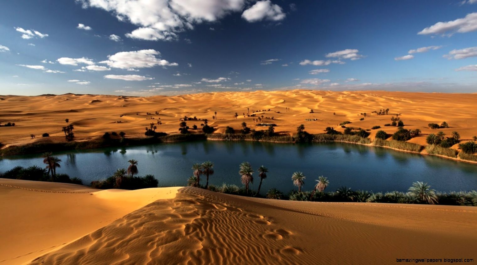 Desert Oasis Libya