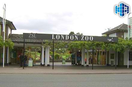 zoo.jpg